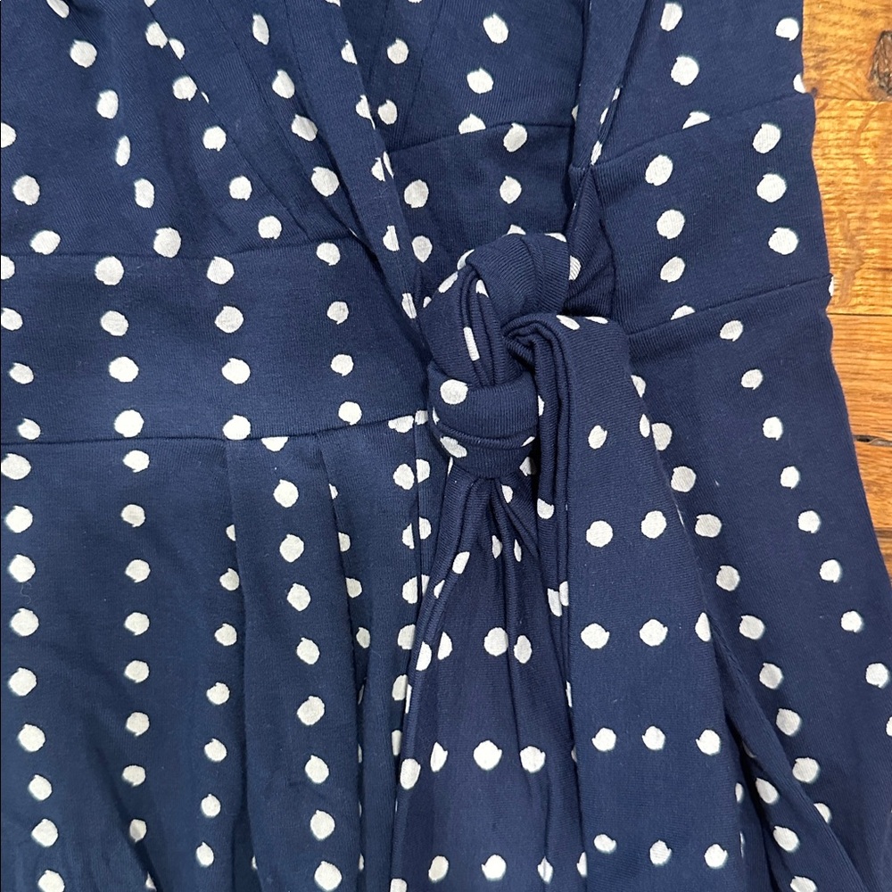 Ann Taylor Blue Polka Dot Wrap Dress - Picture 10 of 12